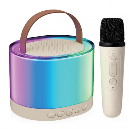 רמקול קריוקי | רמקול ממותג | רמקול מעוצב עם מיקרופון