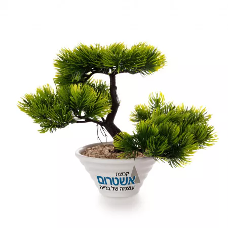 עציץ בונסאי מלאכותי קאיזן ממותג — מבט נוסף עצצים ממותגים עם לוגו