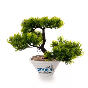 עציץ בונסאי יפני מלאכותי ממותג "קאיזן"