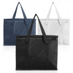 צידנית משפחתית 20 ליטר "ויקי"