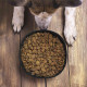 צלחת אוכל מתקפלת לכלב  ממותגת