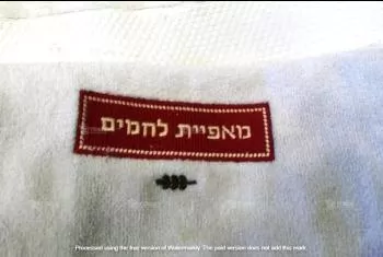 הדפסה על ביגוד וטקסטיל