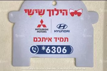 ריחניות ממותגות - צורת רכב