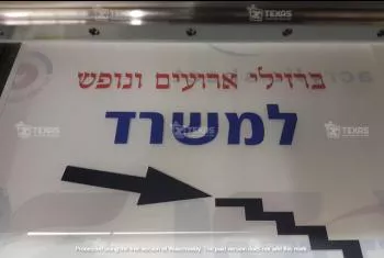 הדפסה מיוחדת על זכוכית ותאורה